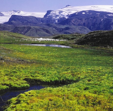 Foto vom Eyjafjallajökull Island