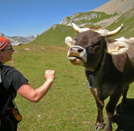 Foto von netter Begegnung auf dem Weg beim Berninatrek in der Schweiz